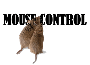 Mouse Control - Mouse Repellant