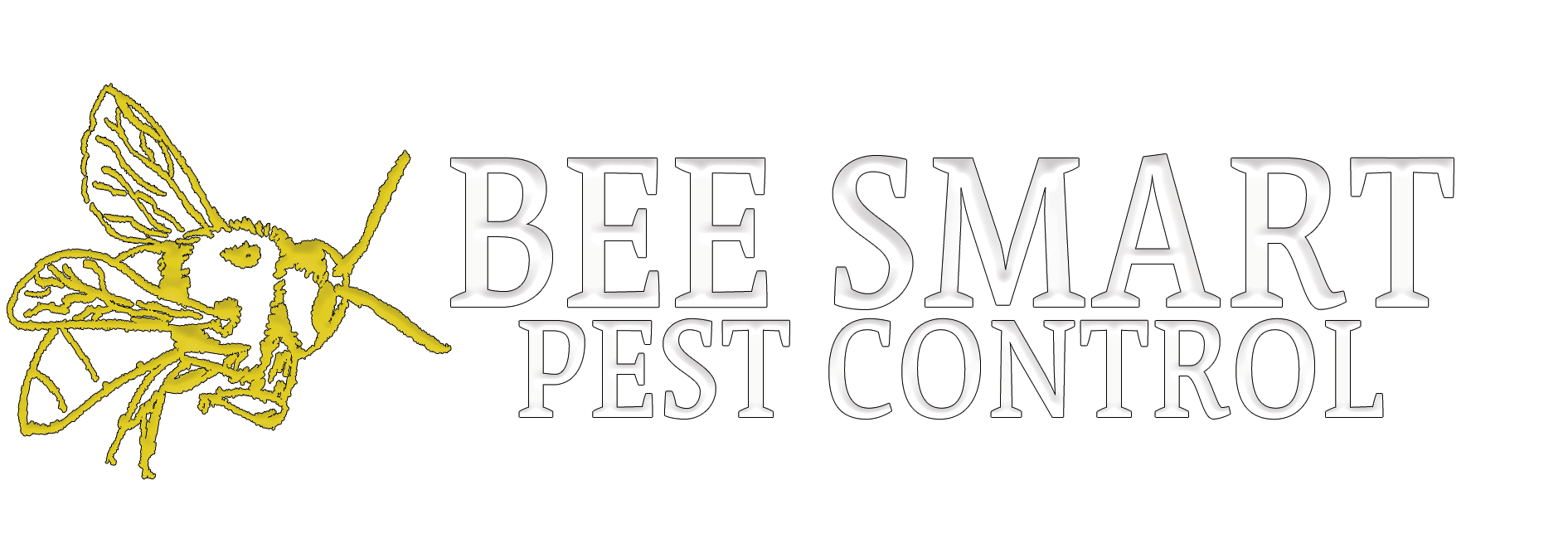 Pest Control services in Connecticut - Mouse Control